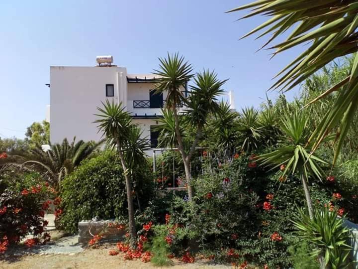 Glafki Studios Syros Megas Gialos - Nites Ngoại thất bức ảnh